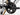 Giant Propel Advanced Pro 2024 D. Parham size M  Team Hagens Berman Jayco Shimano Ultegra DI2 2x12sp
