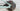 Specialized Epic EVO Comp 2022