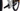 Cinelli Zydeco King II 2025 - Shimano GRX 2x12sp - Fulcrum Rapid Red 500
