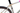 Cinelli Zydeco King II 2025 - Shimano GRX 2x12sp - Fulcrum Rapid Red 500
