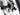 Wilier Garda 2026 - Shimano 105 2x12sp - Miche Reflex DX