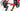 Wilier Filante SLR 2025 - SRAM Force AXS 2x12sp - Miche Kleos RD 36