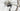 Cannondale Synapse Carbon 4 2026 - Shimano 105 Di2 7150 - DT Swiss E550, 28h, tubeless ready