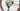 Cannondale Topstone Carbon 3 GRX - 1x 2026